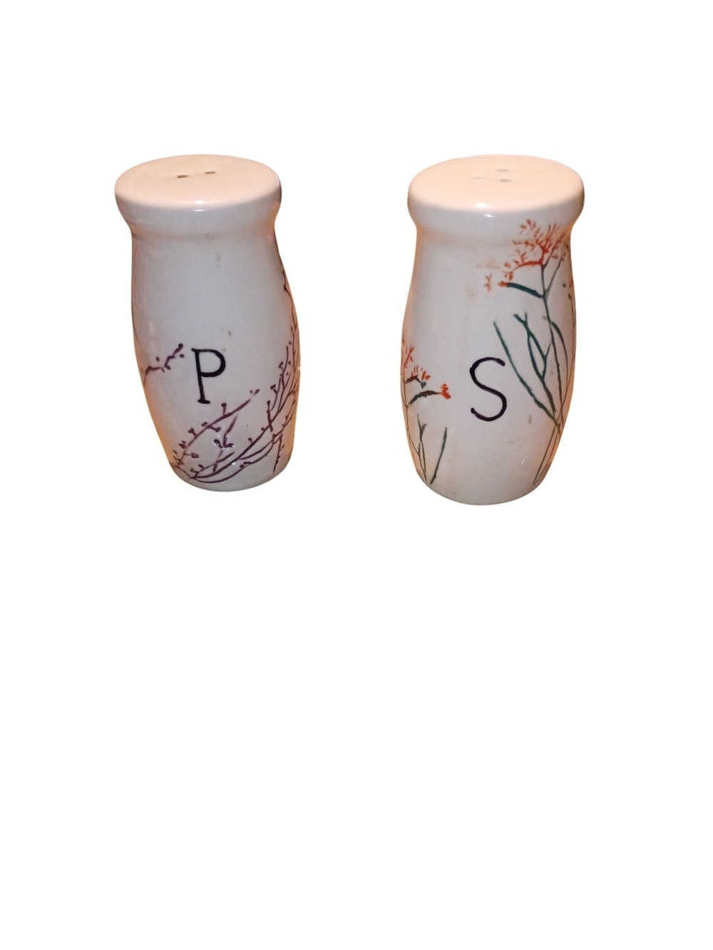 Anthropologie Dagny Salt & Pepper Shaker with Floral Branches